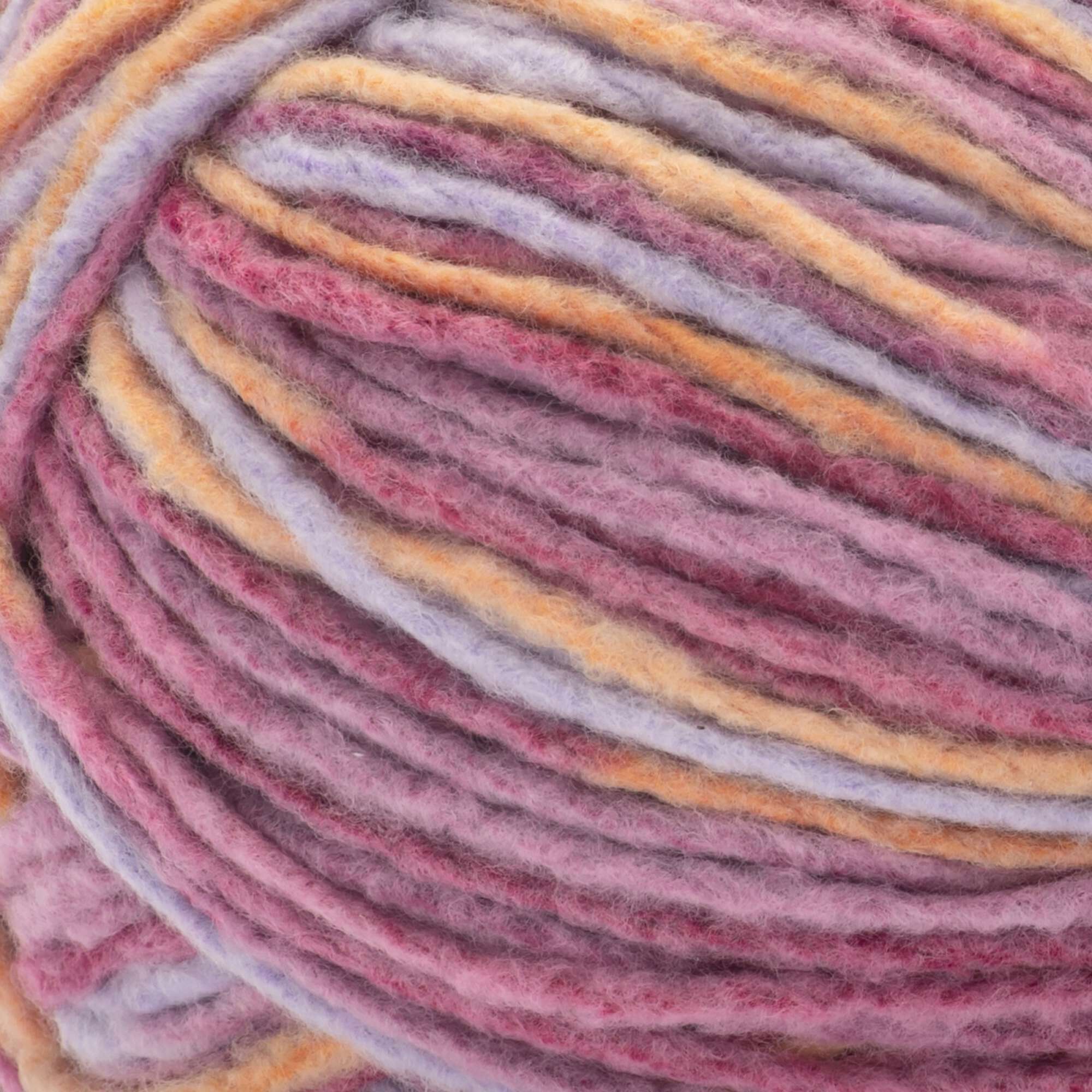 Bernat Forever Fleece Finer Yarn - Discontinued Shades - Image 8