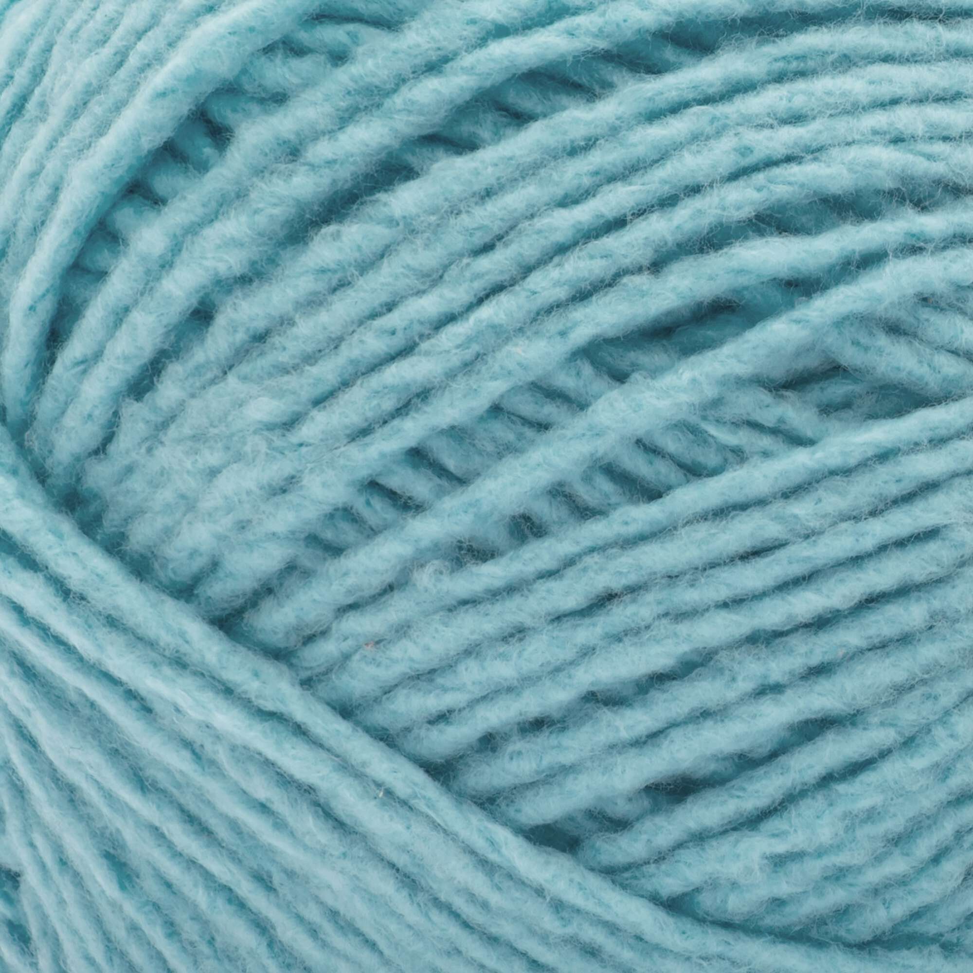 Bernat Forever Fleece Finer Yarn - Discontinued Shades - Image 34