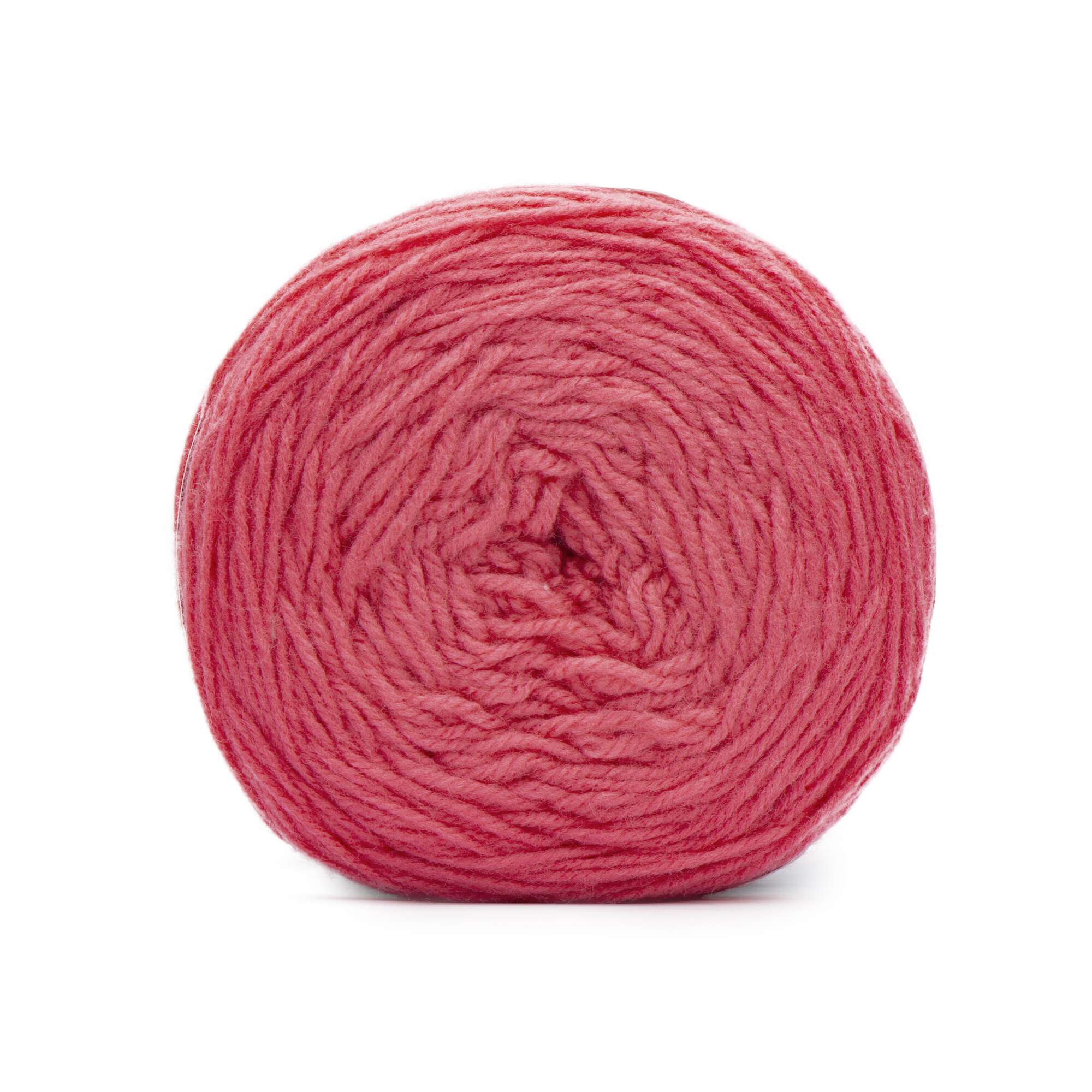 Caron Baby Cakes Yarn (240g/8.5oz) - Discontinued Shades - Image 14
