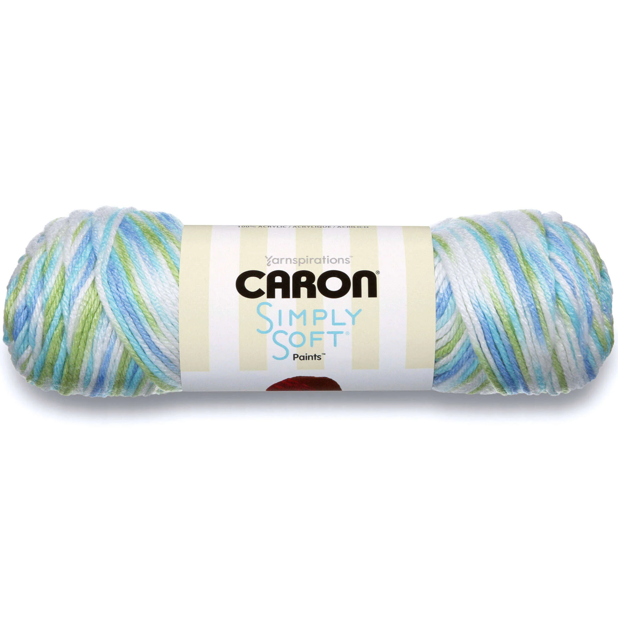 Caron Simply Soft Paints Yarn - Discontinued Shades - Image 13