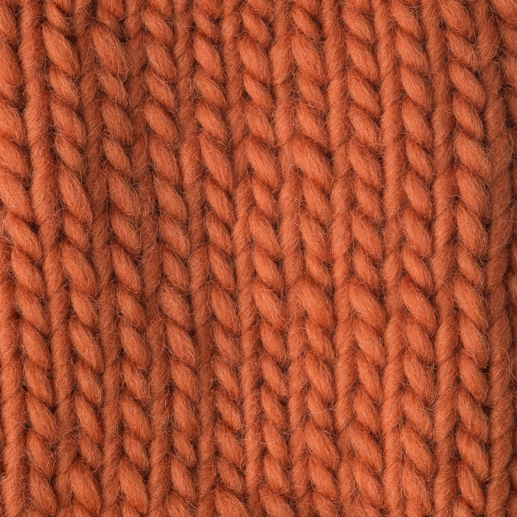 Patons Classic Wool Roving Yarn - Discontinued Shades - Image 4