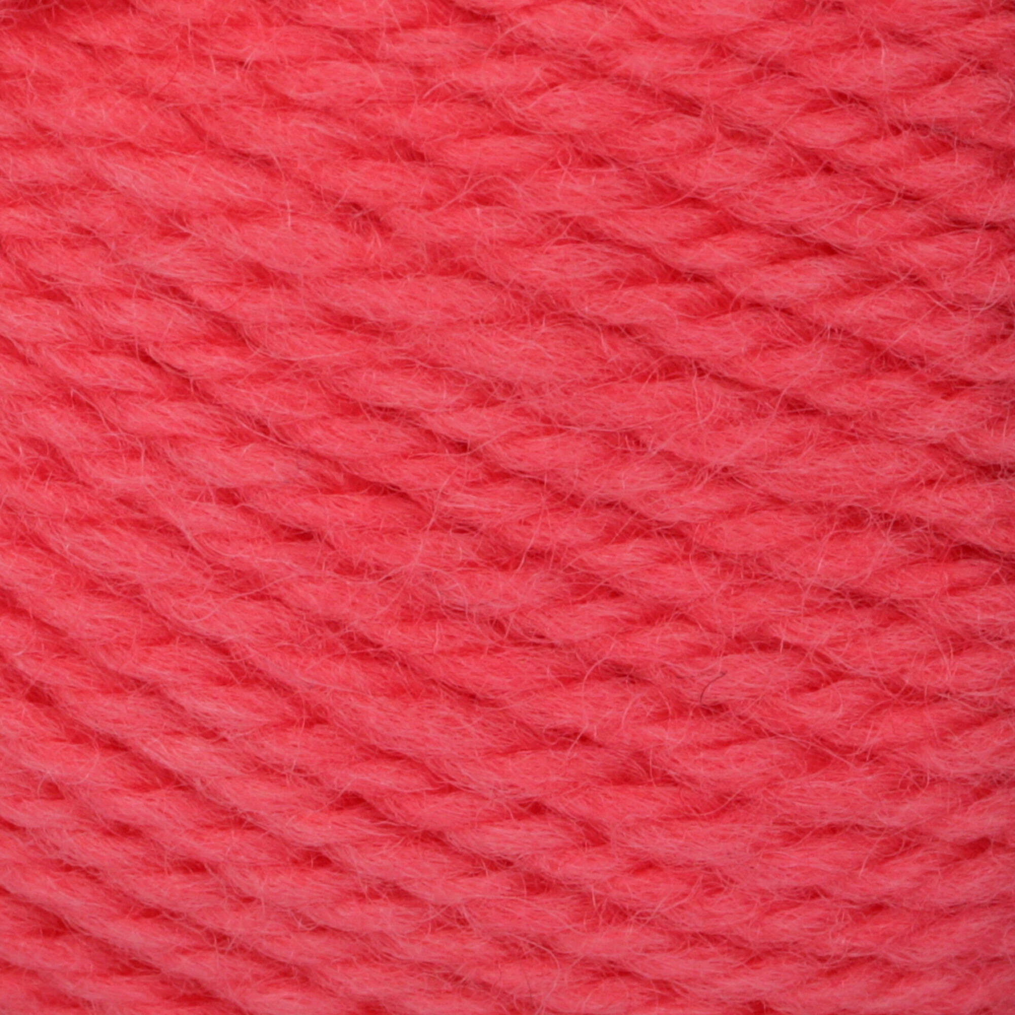 Patons Classic Wool Worsted Yarn - Discontinued Shades - Image 10