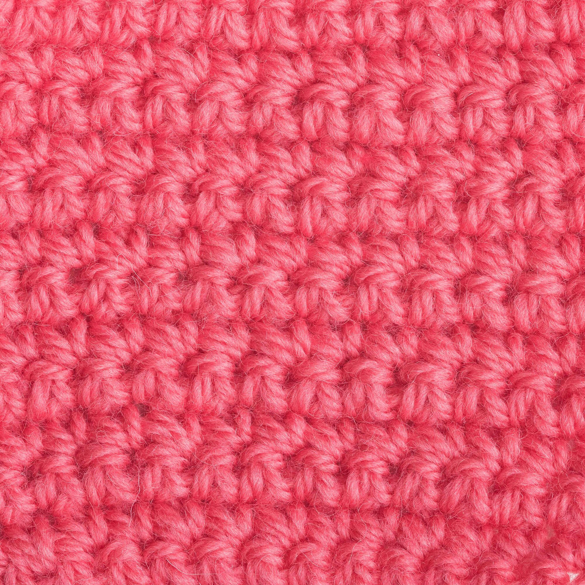 Patons Classic Wool Worsted Yarn - Discontinued Shades - Image 11