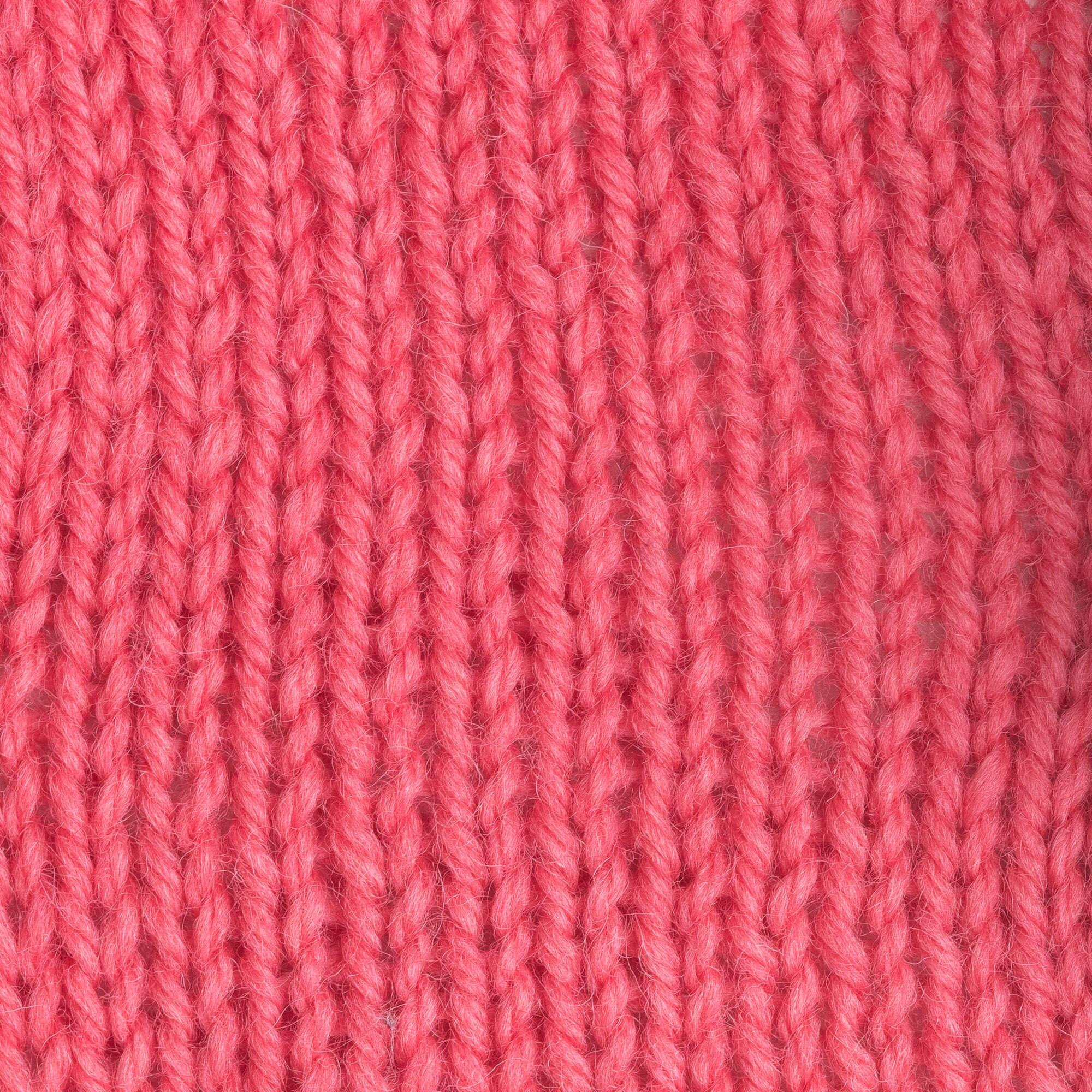 Patons Classic Wool Worsted Yarn - Discontinued Shades - Image 12
