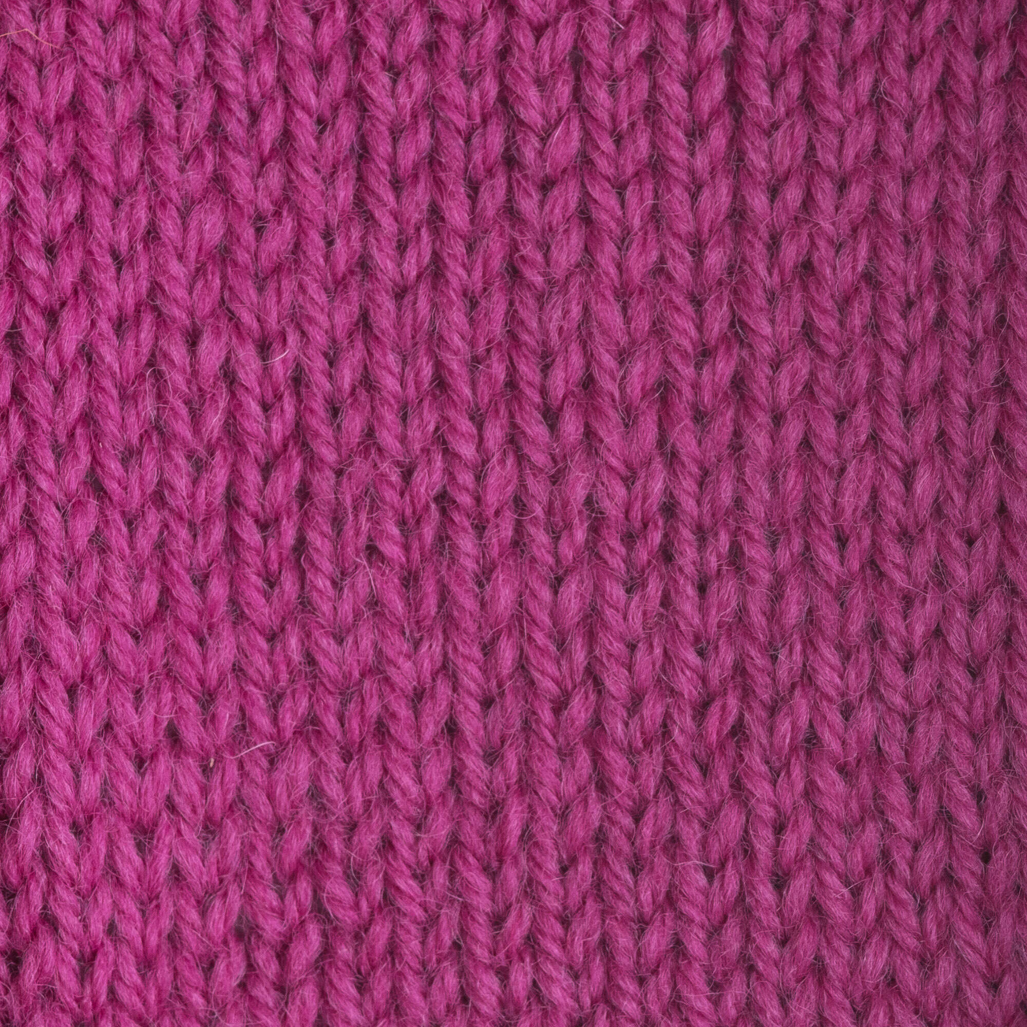 Patons Classic Wool Worsted Yarn - Discontinued Shades - Image 16