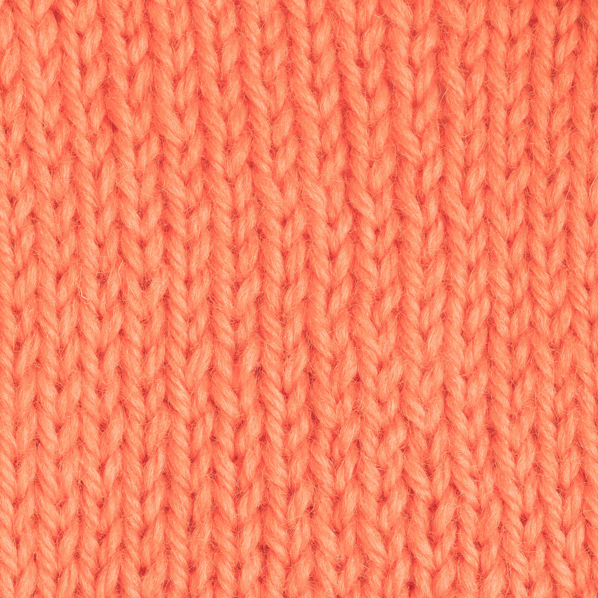 Patons Classic Wool Worsted Yarn - Discontinued Shades - Image 91