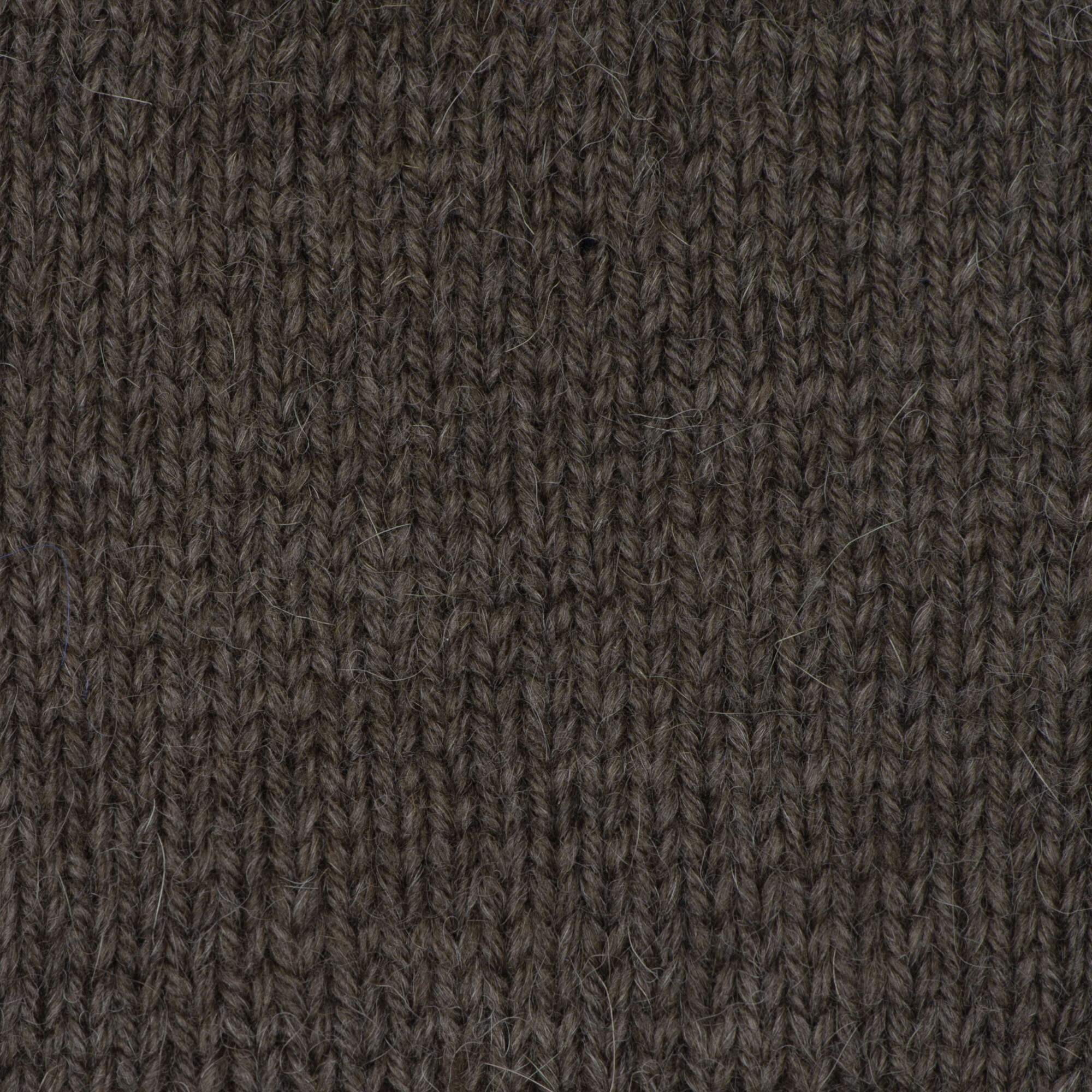 Sugar Bush Rapture Yarn - Discontinued - Image 8